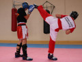 Swiss-Kickboxing-Team_WAKO-142