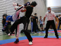 www.swisskickboxer-101