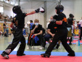 www.swisskickboxer-110