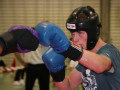 www.swisskickboxer-119