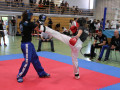 www.swisskickboxer-125