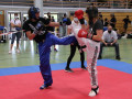 www.swisskickboxer-126