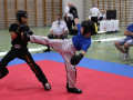 www.swisskickboxer-127