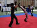 www.swisskickboxer-131
