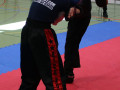 www.swisskickboxer-133