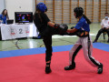 www.swisskickboxer-141