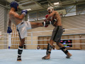 www.swisskickboxer-15