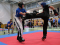 www.swisskickboxer-17