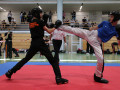 www.swisskickboxer-19
