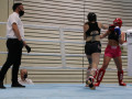 www.swisskickboxer-24