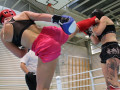 www.swisskickboxer-26