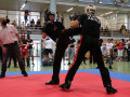 www.swisskickboxer-30