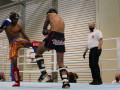 www.swisskickboxer-49