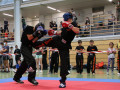 www.swisskickboxer-59