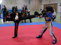 www.swisskickboxer-7