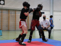 www.swisskickboxer-8