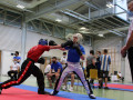 www.swisskickboxer-81