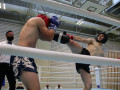 www.swisskickboxer-85
