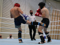 www.swisskickboxer-86