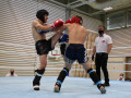 www.swisskickboxer-87