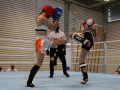 www.swisskickboxer-9