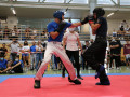 www.swisskickboxer-91
