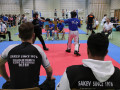 www.swisskickboxer-94