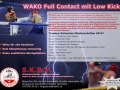 56_Flyer-WAKO-Full2016